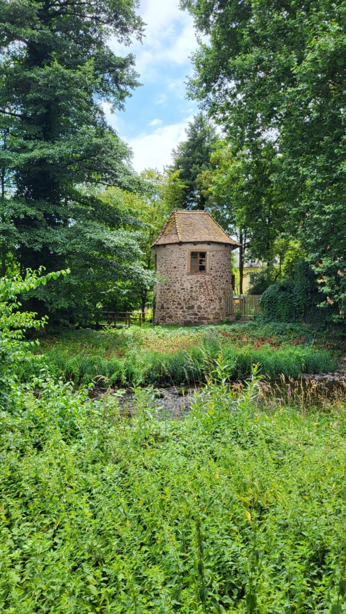 Gite Violette Et Pierrot Masevaux-Niederbruck Eksteriør billede
